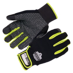 Ergodyne ProFlex 850 Black Insulated Freezer Gloves