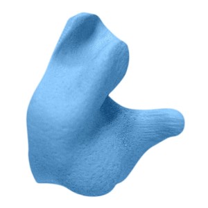 Radians Blue Custom Molded Earplugs With Poly Bag, 26 dB NRR 