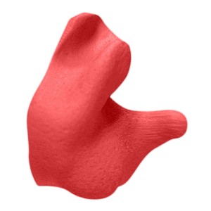 Radians Red Custom Molded Earplugs With Poly Bag, 26 dB NRR 