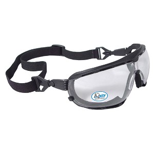 Radians Dagger Iquity Anti-Fog Foam Lined Safety Goggle Clear Anti-Fog 