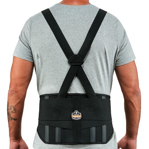 Ergodyne ProFlex 1600 Standard Elastic Back Support - Black MAIN 