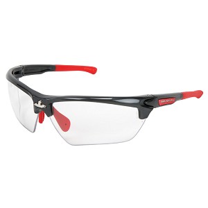 MCR Safety DM1310PF Dominator DM3 Gun Metal, Clear MAX6 